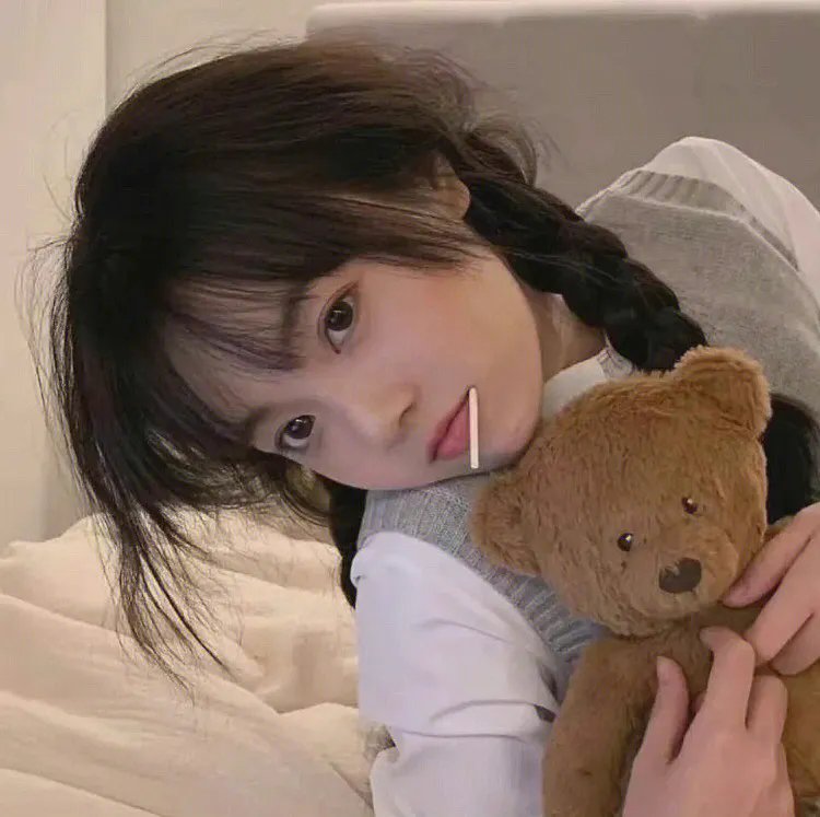 燕子盗